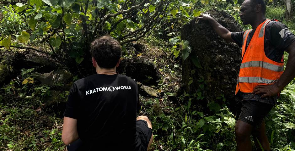 Пътуване до фермата за Кава Кава: Репортаж от Фиджи от Kratom World