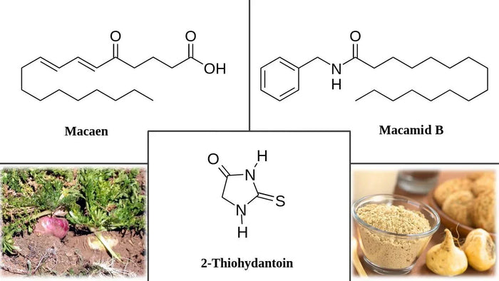 Kratom World камък магазин в Кладнo