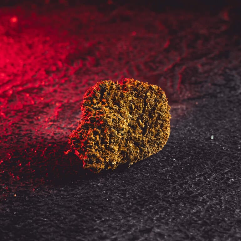 CBD Květ CBD Prodej Praha Kratom World Kvalitní CBD Květy Chocolate Trees Čokoládové Stromy Česko Detail Květu