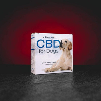 CBD пастилки за кучета Kratom World, представени в продуктов кадър като природна хранителна добавка за домашни любимци без терпени.
