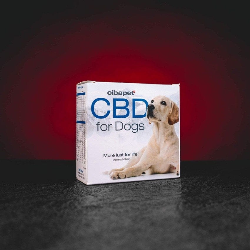 CBD пастилки за кучета Kratom World, представени в продуктов кадър като природна хранителна добавка за домашни любимци без терпени.