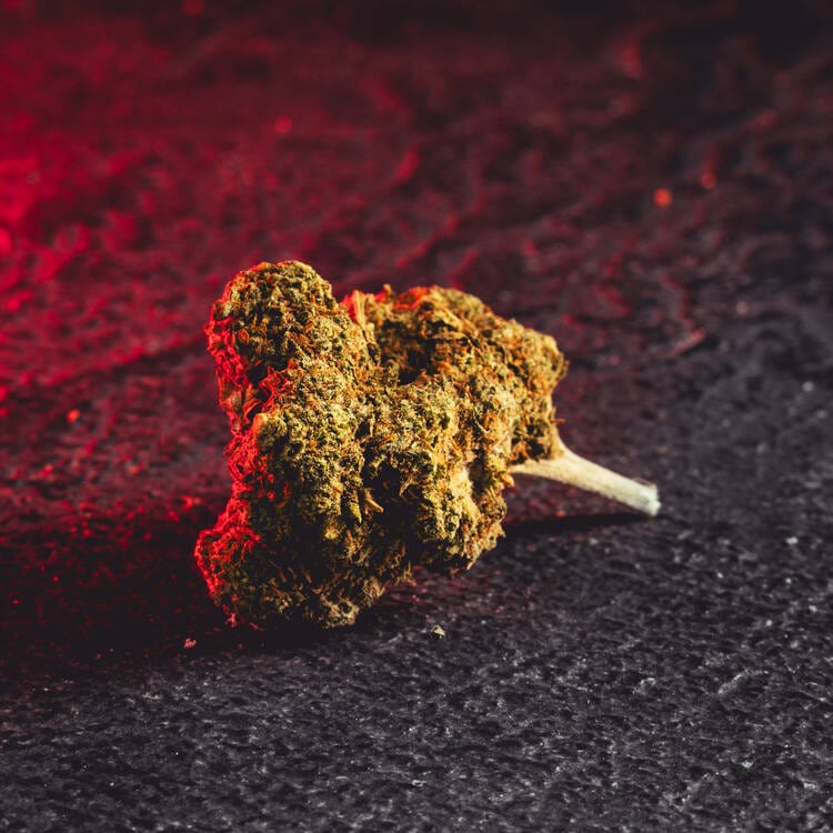 CBD Strawberry цветове Kratom World, представени в детайлен продуктов кадър като качествени CBD цветове.