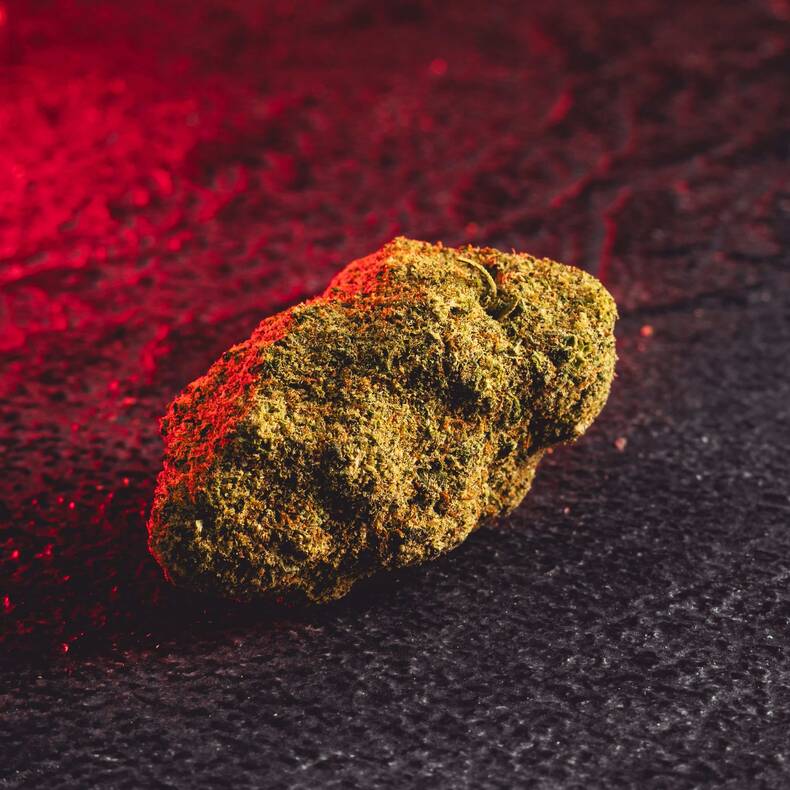 CBD Gorilla Glue цветове, показани в детайлен продуктов кадър като качествени конопени цветове.