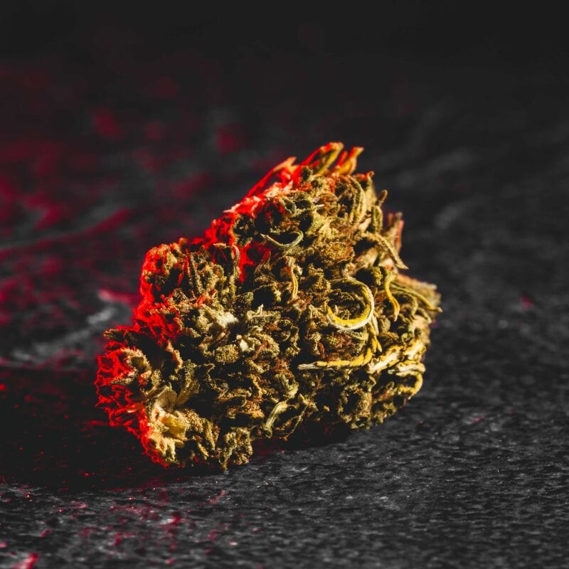 CBG цветове California Kratom World, представени в продуктов кадър като качествен конопен продукт.