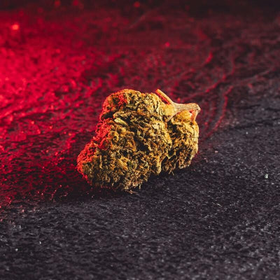 CBD цветове Cannatonic Kratom World, показани в детайлен продуктов кадър.