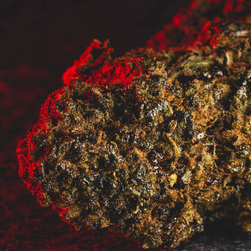 Cantonic H4CBD цвете Kratom World, показано в детайлен продуктов кадър като конопен продукт.