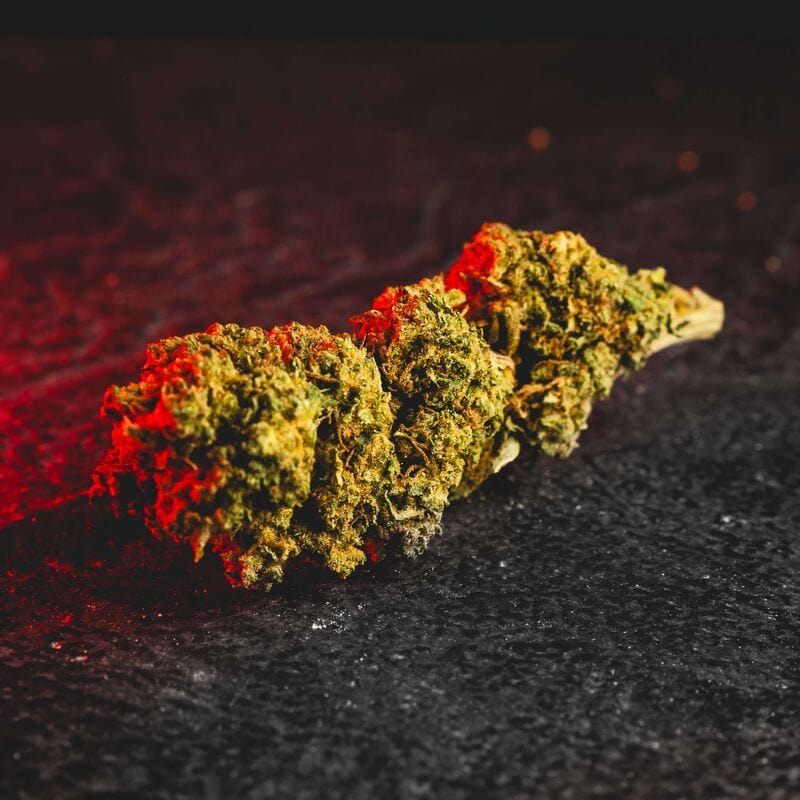 Cantonic H4CBD цвете Kratom World, представено в продуктов кадър като конопен продукт.