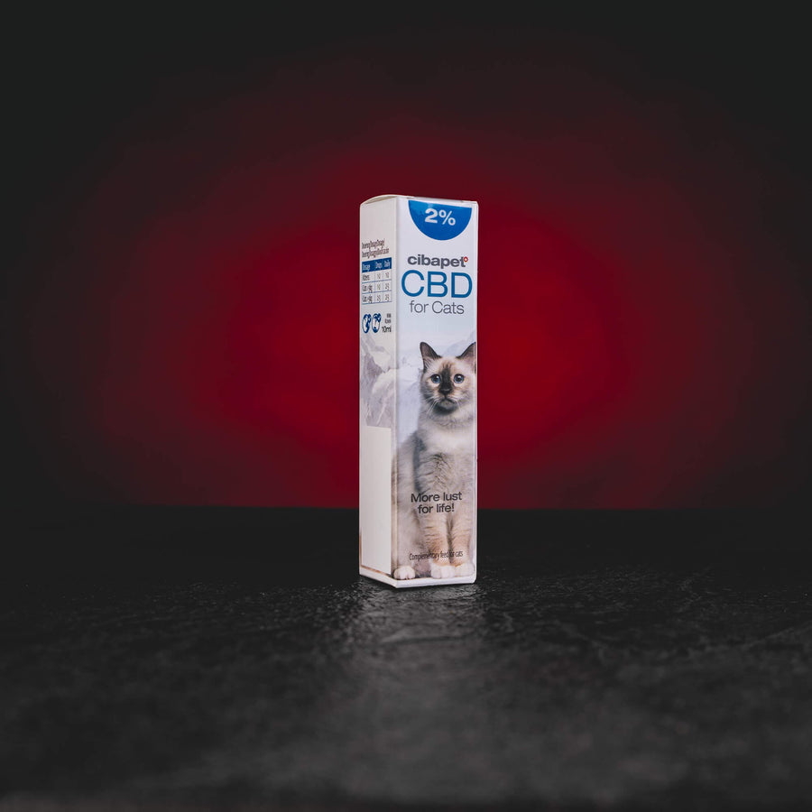 CBD масло за котки Kratom World Cibdol 2% 10 ml, представено в продуктов кадър като природна хранителна добавка с рибено масло и витамин E за чувствителни котки.