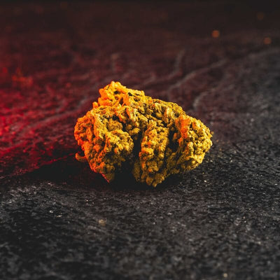 Golden Buds Kratom World, показани в детайлен продуктов кадър като златисти конопени цветове.