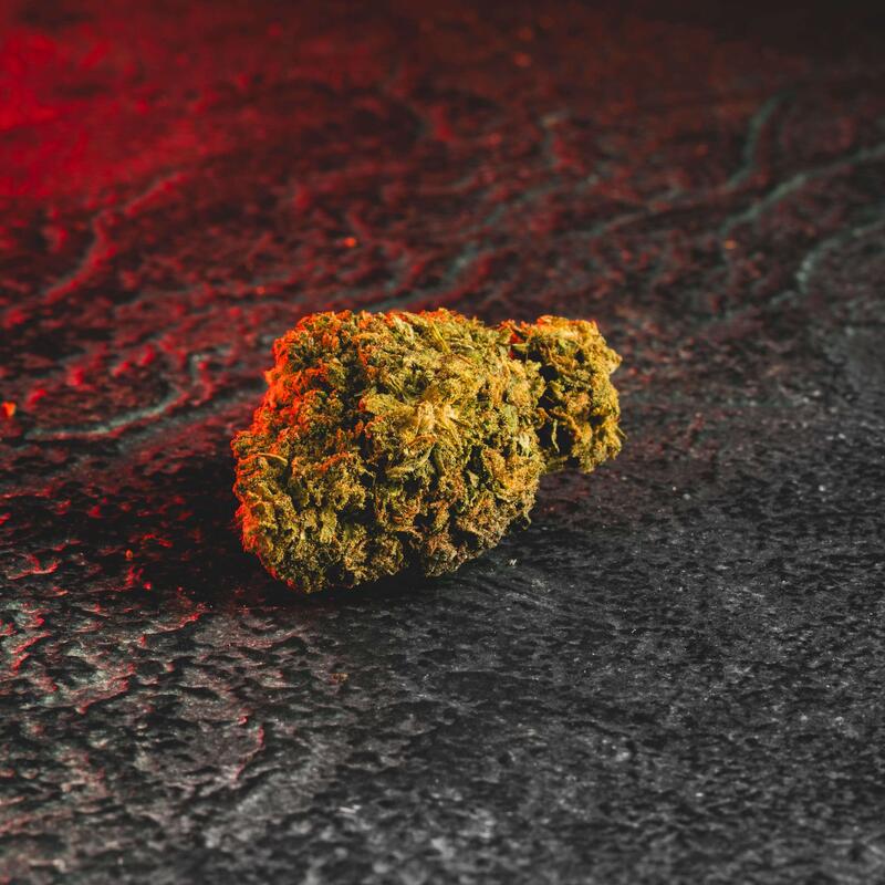 Great White Shark CBN Kratom World, представени в продуктов кадър като CBN конопени цветове с shark профил.