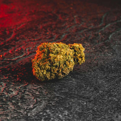 Great White Shark CBN Kratom World, представени в продуктов кадър като CBN конопени цветове с shark профил.