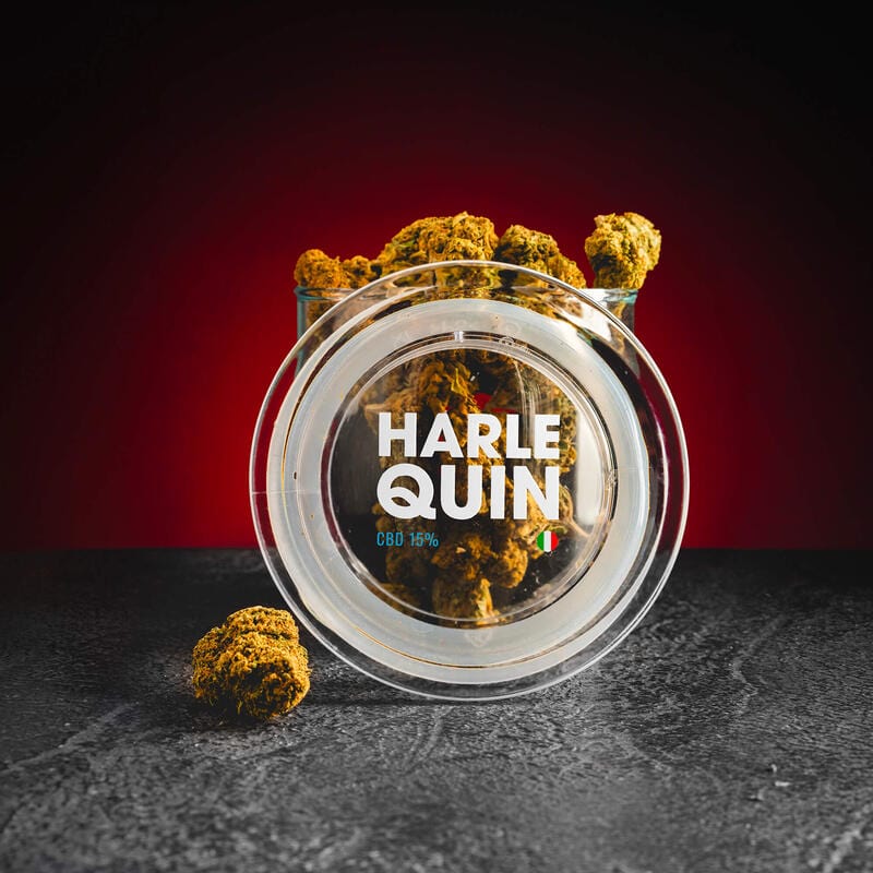CBD Harlequin конопени цветове Kratom World, представени в продуктов кадър като качествени CBD цветове.