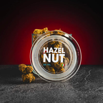 Hazelnut CBD Kratom World, представени в продуктов кадър като CBD и HHC конопени цветове с лешников профил.