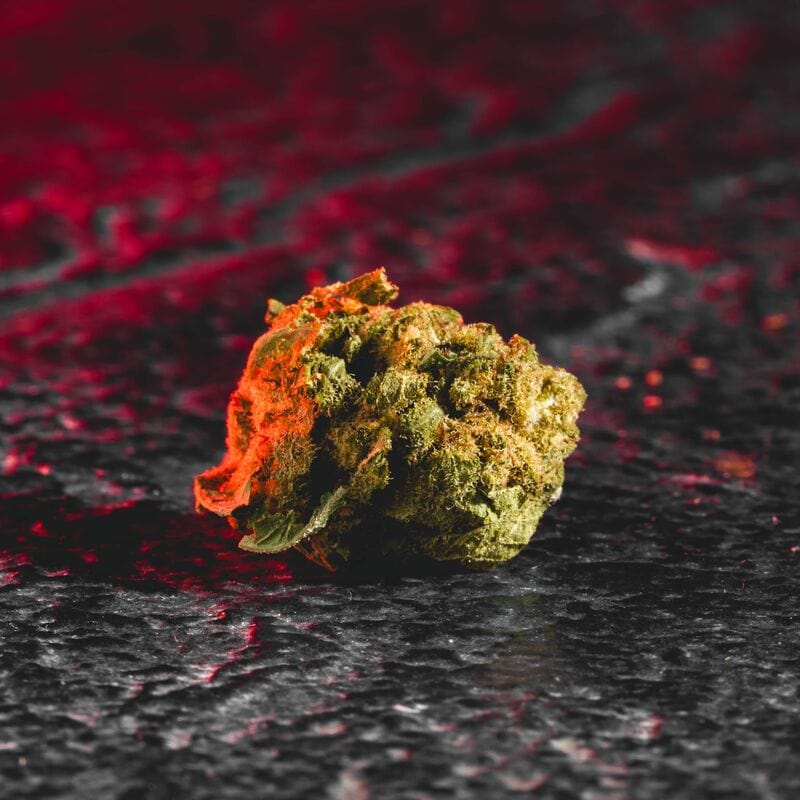 Small Bud CBD цветове Kratom World, представени в продуктов кадър като дребни конопени цветове.